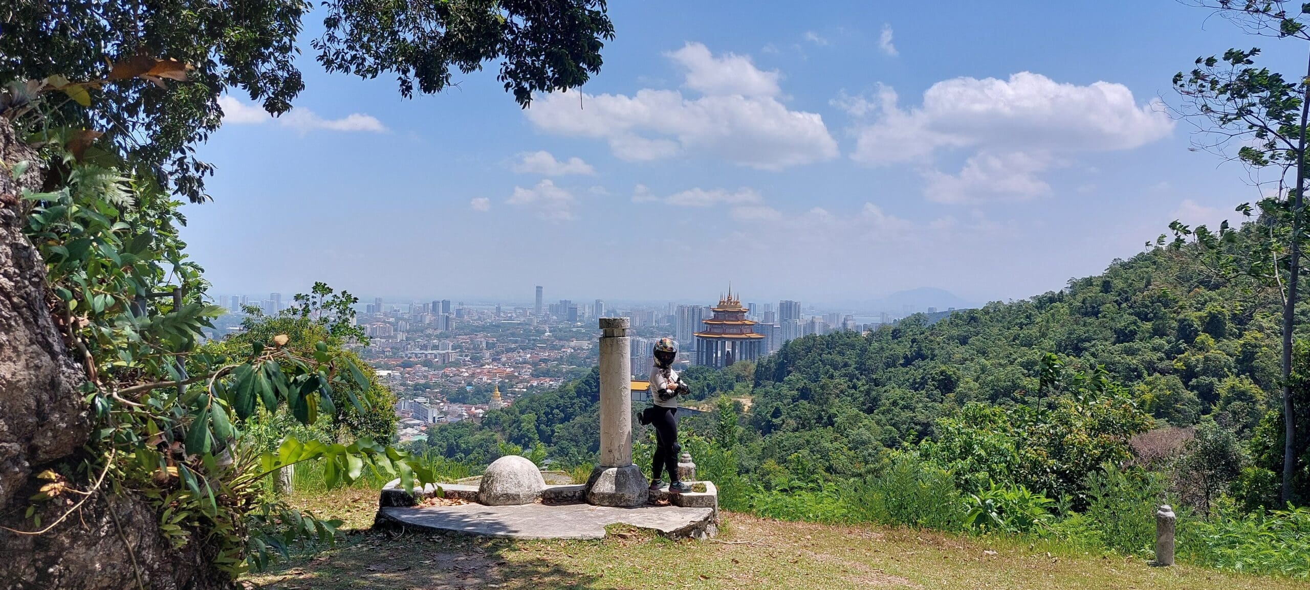 Copywriter and messaging strategist in the wild