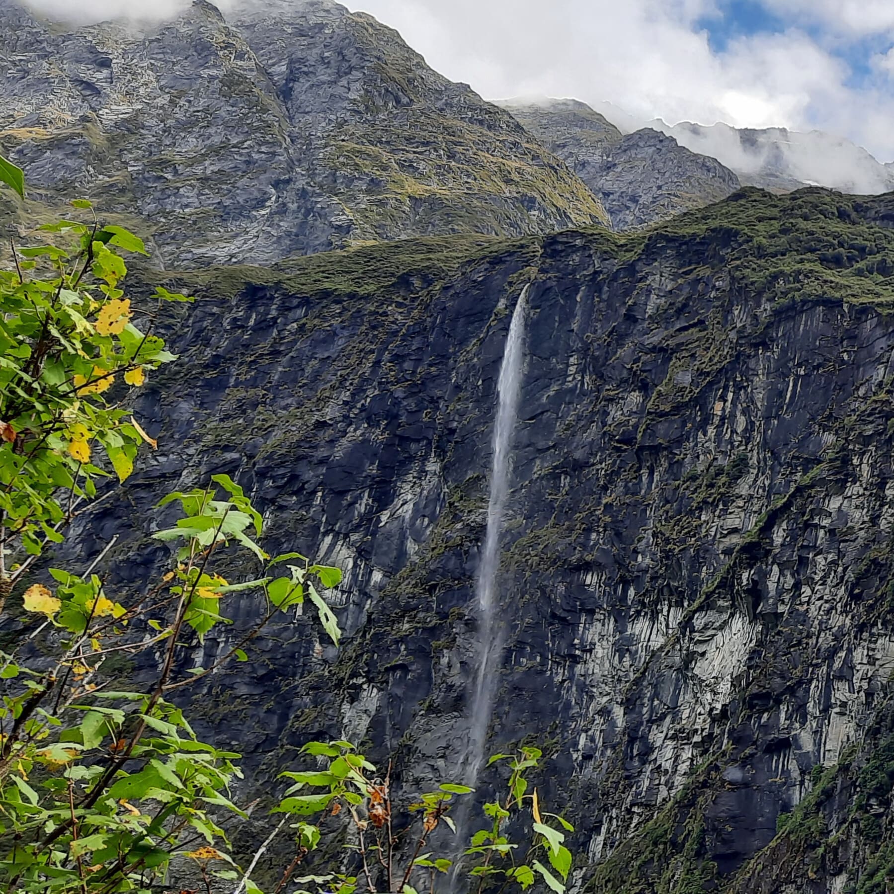 Rob Roy Track NZ